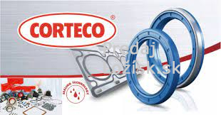 Gufero  55x72x10/8 B1BASLRS CORTECO 01034697B